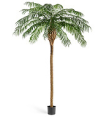 Финиковая пальма де Люкс 300/310 см (сборная) 1/1 10.33009N Treez