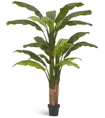 Банановое дерево в-210 см (20 листов и 3 ствола) (Sensitive Botanic) 1/1 10.0157206N Treez