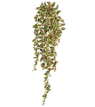 Традесканция бело-розово-зелёная большая в-90 см (серия MDP) 12/72 20.072132WGR-L Treez