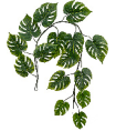 Монстера Giant лиана дл-240 см 15 листов (Sensitive Botanic) 6/24 20.092234N Treez