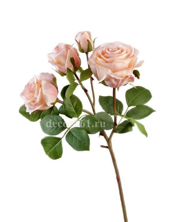 Роза Флорибунда ветвь св.розовая