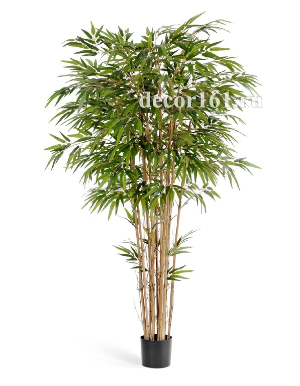 Бамбук натуральный, 150 см