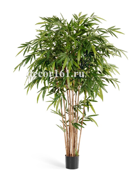 Бамбук Новый натуральный, 270 см