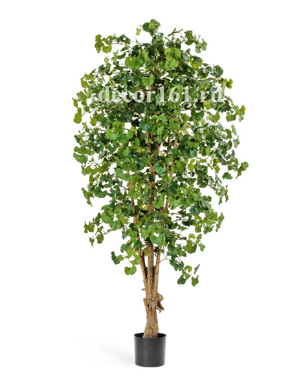 Гинкго Форест, 210 см. Искусственное растение Treez