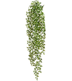 Традесканция бело-зелёная (пластик) в-100 см 12/48 20.0218063GWH Treez