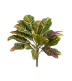 Кротон куст зелёно-жёлто-розовый в-33 см (Sensitive Botanic) 12/96 20.1144GYP Treez