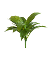 Спацифилум-мини куст зелёный в-20 см (Sensitive Botanic) 24/288 20.115 Treez