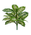 Диффенбахия бело-зелёная куст в-40 см (Sensitive Botanic) 12/120 20.1440GW Treez