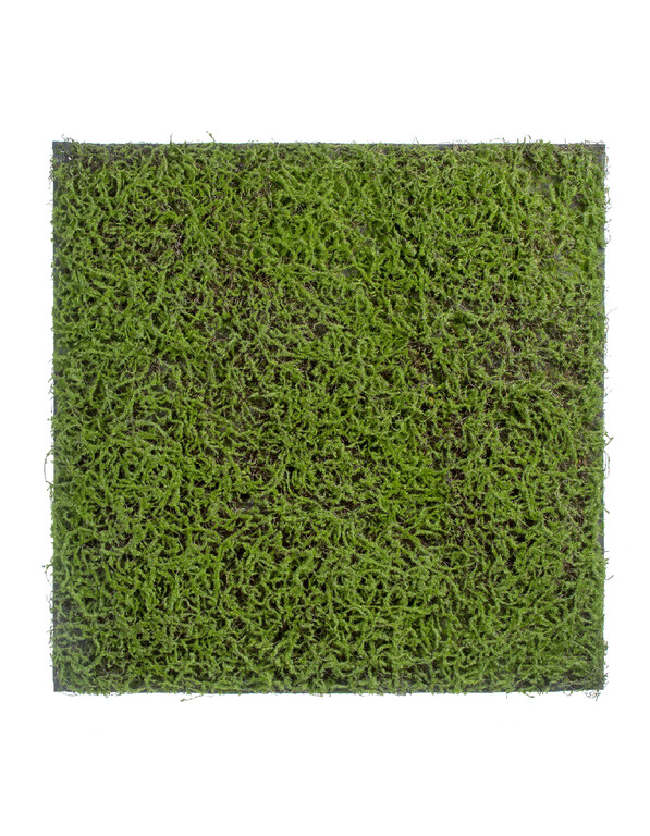 Мох Сфагнум Fuscum зелёный (полотно на подложке большое) 100х100 см 12/12 20.0820411L Treez