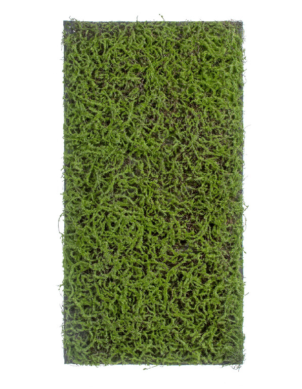 Мох Сфагнум Fuscum зелёный (полотно на подложке среднее) 50х100 см 24/24 20.0820411M Treez