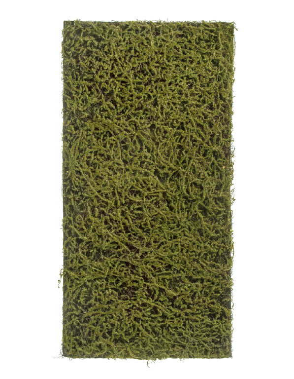 Мох Сфагнум Fuscum оливково-зелёный (полотно на подложке среднее) 50х100 см 24/24 20.0820412M Treez