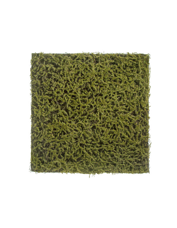 Мох Сфагнум Fuscum оливково-зелёный (полотно на подложке) 50х50 см 48/48 20.0820412S Treez