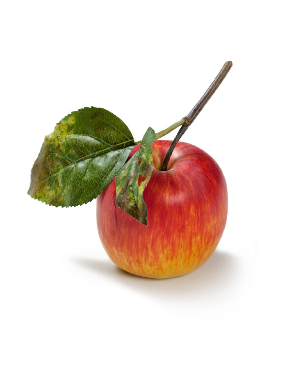 Яблоко красно-жёлтое на веточке д-7,5 см 12/144 30.03110134RDYL Treez
