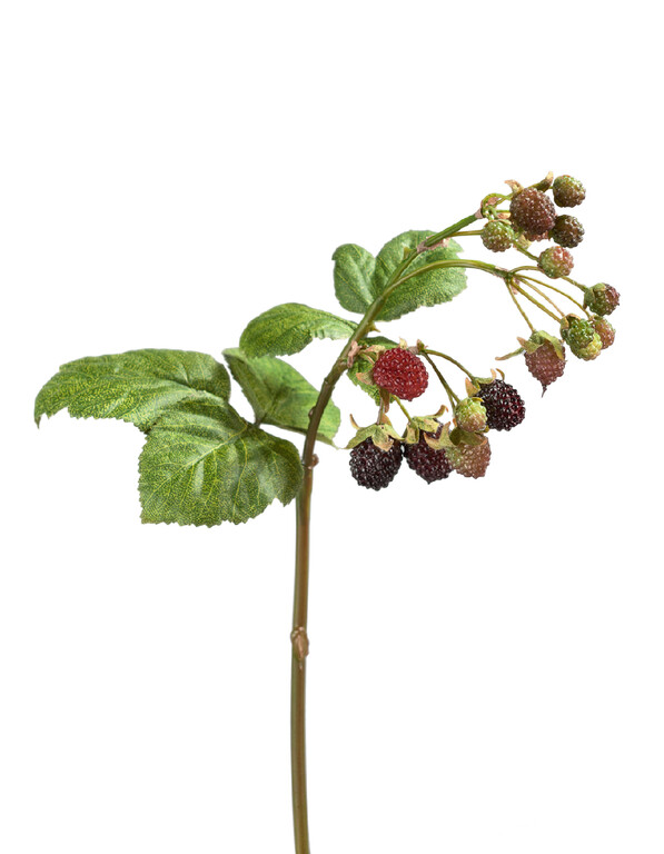 Ежевика Ветка с ягодами в-33 см 12/180 30.03110127 Treez
