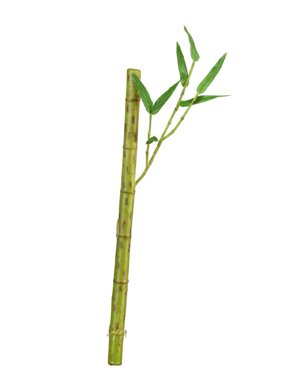 Бамбук стебель длинный св.зелёный с веточкой в-39 см д-2 см 24/288 30.0611073LG Treez