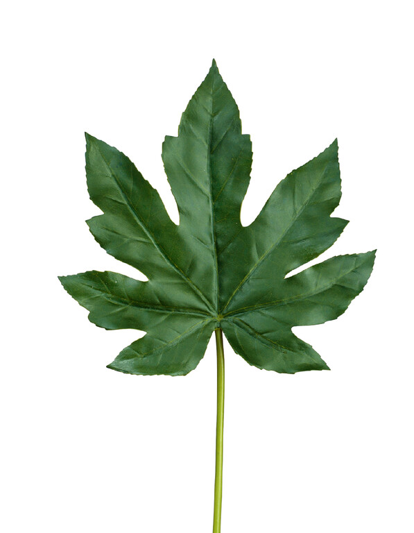 Лист Аралии тёмно-зелёный в-42 см, лист 16х17 см 24/288 30.0611079 Treez